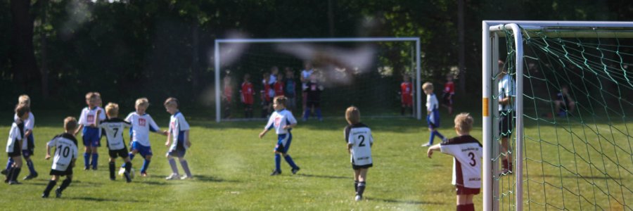 F-Jugend Ramstedt